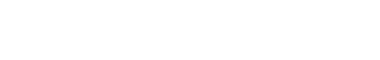 light logo