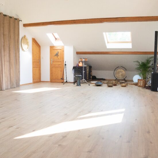 Espace Cyrizan Crolles